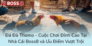 Da Da Thomo Cuoc Choi Dinh Cao Tai Nha Cai Boss8 Va Uu Diem Vuot Troi0