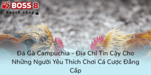 Da Ga Campuchia Dia Chi Tin Cay Cho Nhung Nguoi Yeu Thich Choi Ca Cuoc Dang Cap00