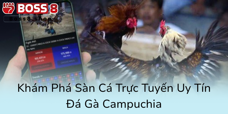 Kham Pha San Ca Truc Tuyen Uy Tin Da Ga Campuchia0