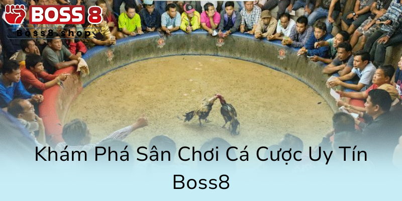 Đá Đà Thomo - Cuộc Chơi Đỉnh Cao Tại Nhà Cái Boss8 và Ưu Điểm Vượt Trội 1 Kham Pha San Choi Ca Cuoc Uy Tin Boss80