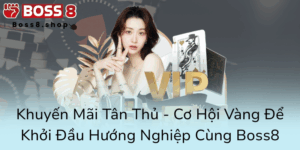Khuyen Mai Tan Thu Co Hoi Vang De Khoi Dau Huong Nghiep Cung Boss80