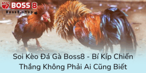 Soi Keo Da Ga Boss8 Bi Kip Chien Thang Khong Phai Ai Cung Biet0