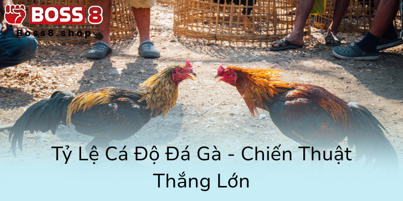 Ty Le Ca Do Da Ga Chien Thuat Thang Lon0